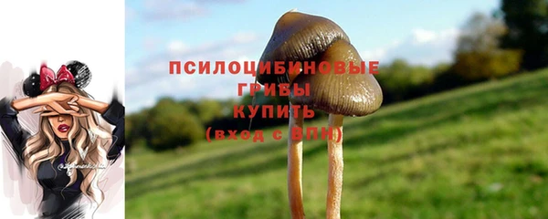прущие грибы Алзамай