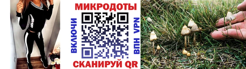 Галлюциногенные грибы MAGIC MUSHROOMS  где купить наркоту  Азнакаево 
